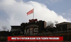 Muş’ta 4 yatırım alanı için teşvik programı: Destek alanları ve fırsatlar neler?