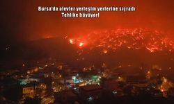 Bursa'da orman yangını yerleşim yerlerine sıçradı: Otoyol kapatıldı