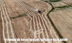 Erzincan’da buğday ve arpa hasadı başladı: Rekolte yüz güldürdü