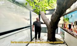 İş Yerinin Ortasında Bir Doğa Harikası