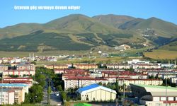 Erzurum göç vermeye devam ediyor