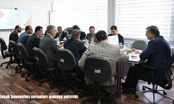 Erzurum’da sokak hayvanları sorunu için değerlendirme toplantısı yapıldı