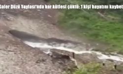 Rize’de Galer Düzü Yaylası’nda kar kütlesi çöktü: 1 kadın hayatını kaybetti