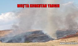 Muş'un Ağaçlık Köyü'nde korkutan yangın
