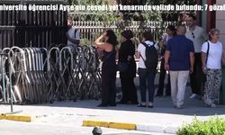 Üniversite öğrencisi Ayşe'nin cesedi yol kenarında valizde bulundu; 7 gözaltı