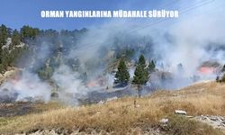 Türkiye’nin bir çok noktasında orman yangınlarıyla mücadele sürüyor