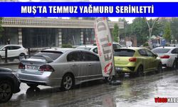 Muş’ta kavurucu sıcaklara yağmur molası!
