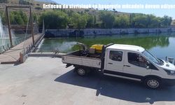 Erzincan’da sivrisinek ve haşerelere karşı ilaçlama çalışmaları sürüyor