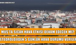 Muş'ta hava nasıl olacak? 5 günlük hava tahmin raporu yayınlandı
