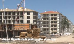 Malatya Salköprü Mahallesi’nde deprem sonrası yeni konutlar yükseliyor