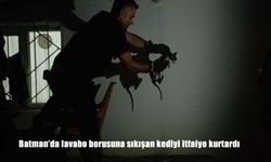 Batman’da lavabo borusuna sıkışan kediyi itfaiye kurtardı