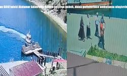 Van Gölü'ndeki Akdamar Adası'nda havale geçiren bebek deniz polisince kurtarıldı