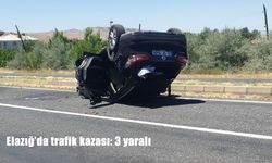 Elazığ'da refüje çarpan otomobilde 3 kişi yaralandı