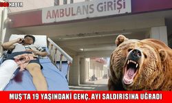 Muş’ta 19 yaşındaki genç ayı saldırısına uğradı