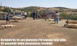 Kırıkkale’de 210 küçükbaş hayvan telef oldu