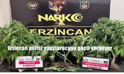 Erzincan’da uyuşturucu operasyonu: Kenevir ve haşhaş ele geçirildi
