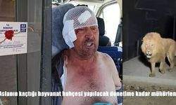 Aslanın kaçtığı Manavgat’taki hayvanat bahçesi denetime kadar mühürlendi