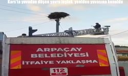 Kars’ta yuvadan düşen yavru leylek itfaiye ekipleri tarafından kurtarıldı