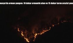 Amasya Taşova’da orman yangını: 25 dekarlık alan zarar gördü