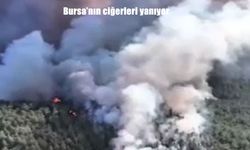 Bursa’da orman yangınları büyüyor: Alevler yerleşim yerlerine yaklaştı