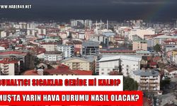 Yağışlı günler geri mi geliyor? Muş’ta yarın hava nasıl olacak?