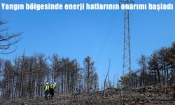 Bursa’daki yangın bölgelerinde enerji hattı onarımları başladı