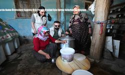 Van’da Kadın Üreticilere Sağlıklı Otlu Peynir Üretimi İçin Eğitim Seferberliği Başladı