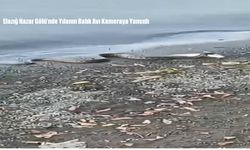 Elazığ Hazar Gölü’nde Yılanın Balık Avı Kameraya Yansıdı