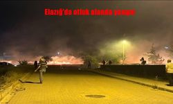Otluk Alanda Başlayan Yangın Mahalleliyi Tedirgin Etti