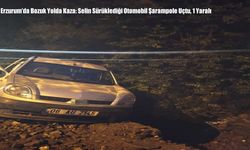 Erzurum'da Bozuk Yolda Kaza: Selin Sürüklediği Otomobil Şarampole Uçtu, 1 Yaralı