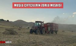 Muş'ta çiftçilerin yaz sıcağında kışa hazırlık mesaisi