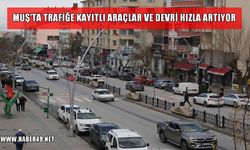 Muş’ta araç sayısında artış sürüyor: Haziran verileri açıklandı