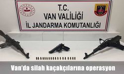 Van’da Kaçak Silah Operasyonu: Çok Sayıda Silah Ele Geçirildi