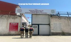 Erzurum’da Firari Hükümlü Jandarmanın Operasyonu ile Yakalandı