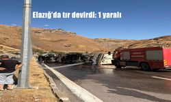 Elazığ’da Dondurulmuş Tavuk Yüklü Tır Devrildi: 1 Yaralı, Trafik Kilitlendi