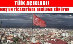 Muş'ta ithalat ve ihracatta düşüş devam ediyor: Temmuz ayı verileri açıklandı