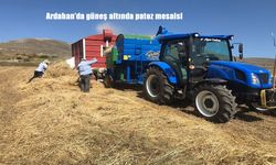 Ardahan Damal’da Sıcak Yaz Güneşi Altında Patoz Mesaisi Başladı