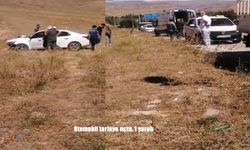 Erzurum’un Narman İlçesinde Otomobil Tarlaya Uçtu: 1 Yaralı