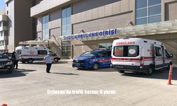 Erzincan Refahiye’de Otomobil Dereye Uçtu: 6 Yaralı