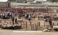 Van Hayvan Pazarı Şap Hastalığı Sonrası Yeniden Açıldı