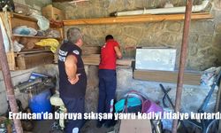 Erzincan’da Boruya Sıkışan Yavru Kedi İtfaiye Ekipleri Tarafından Kurtarıldı