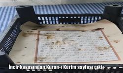 Bitlis-Tatvan’da Satın Alınan İncir Kasasından Kur’an-ı Kerim Sayfası Çıktı