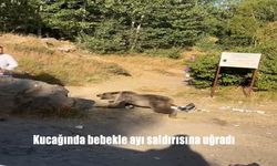 Kucağında bebekle ayı saldırısına uğradı