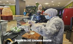 Erzurum’da 283 İşletme Denetlendi: Gıda Güvenliği İçin Sıkı Kontroller