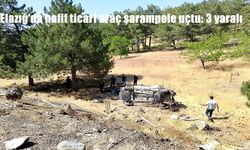 Elazığ Kovancılar’da Hafif Ticari Araç Şarampole Uçtu: 3 Yaralı