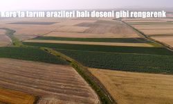 Kars’ta Tarım Arazileri Halı Deseni Gibi Renk Cümbüşü Sunuyor
