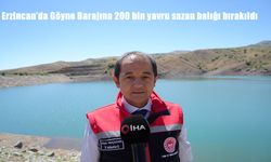 Erzincan Göyne Barajı’na 200 Bin Yavru Sazan Balığı Bırakıldı