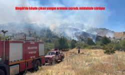 Bingöl’de köyde çıkan yangın ormana sıçradı: Ekipler müdahalede