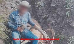 Kars’ta Yaban Keçisi Avlayan Şahsa 658 Bin TL Ceza