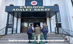 Bingöl'de Kesinleşmiş Hapis Cezası Olan Zanlı Jandarma Ekiplerince Yakalandı